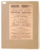 RARE LOCAL INTEREST BRISTOL ' SEE THE GORILLA ' POSTER ADVERTISEMENT