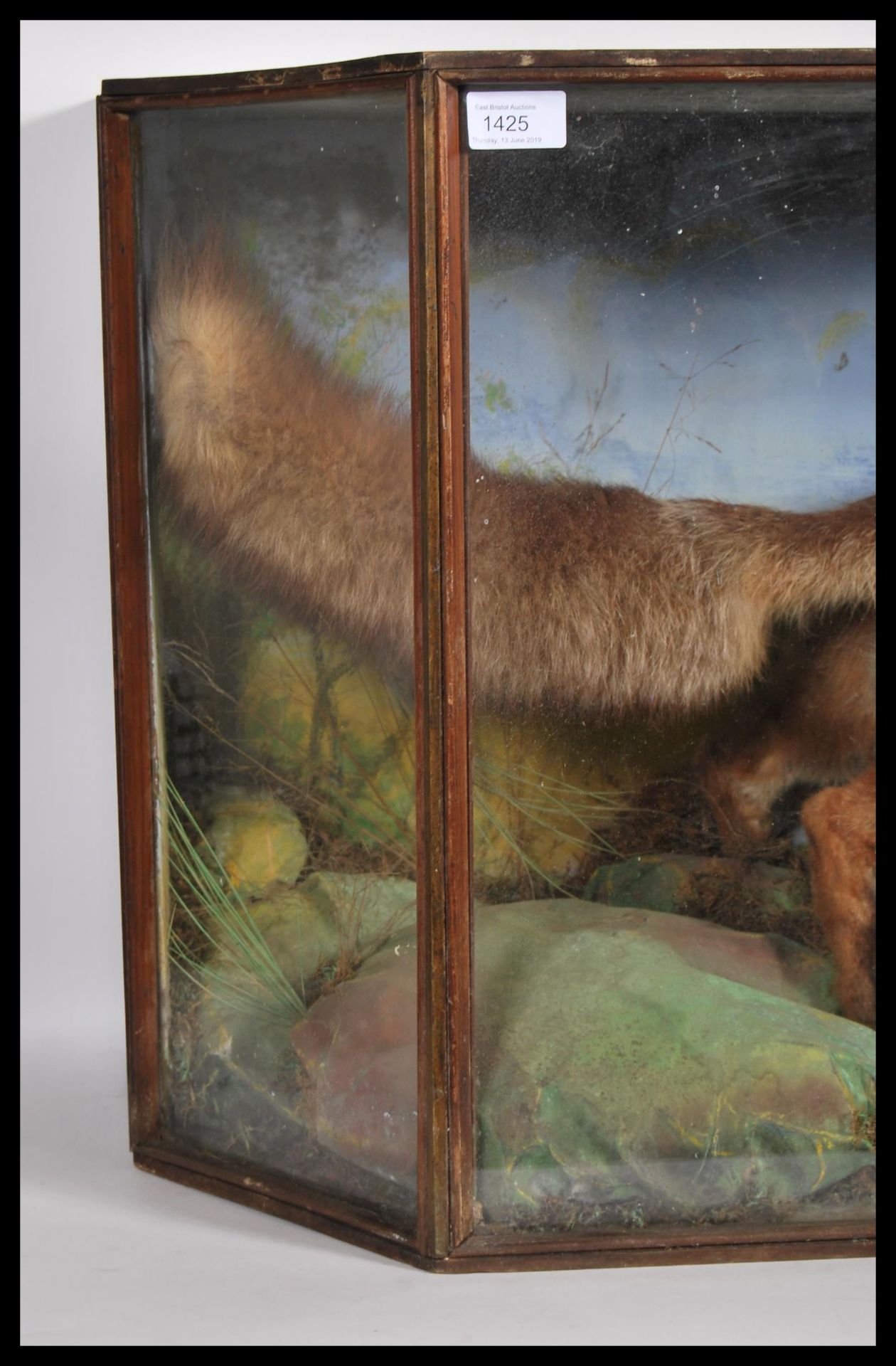 A 20th century glass front and sided cabinet enclosing a taxidermy study of a fox in a - Bild 3 aus 6