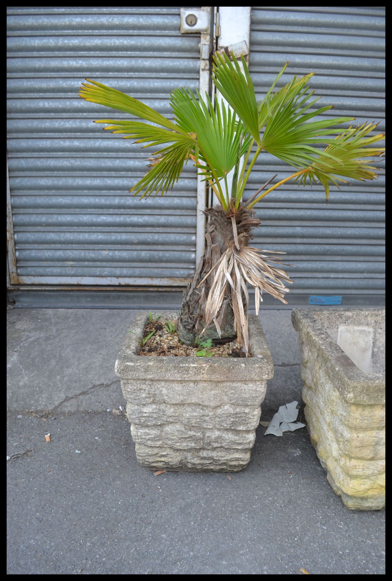 A group of three reconstituted stone garden troughs / planters, each of square form and moulded to - Bild 6 aus 6