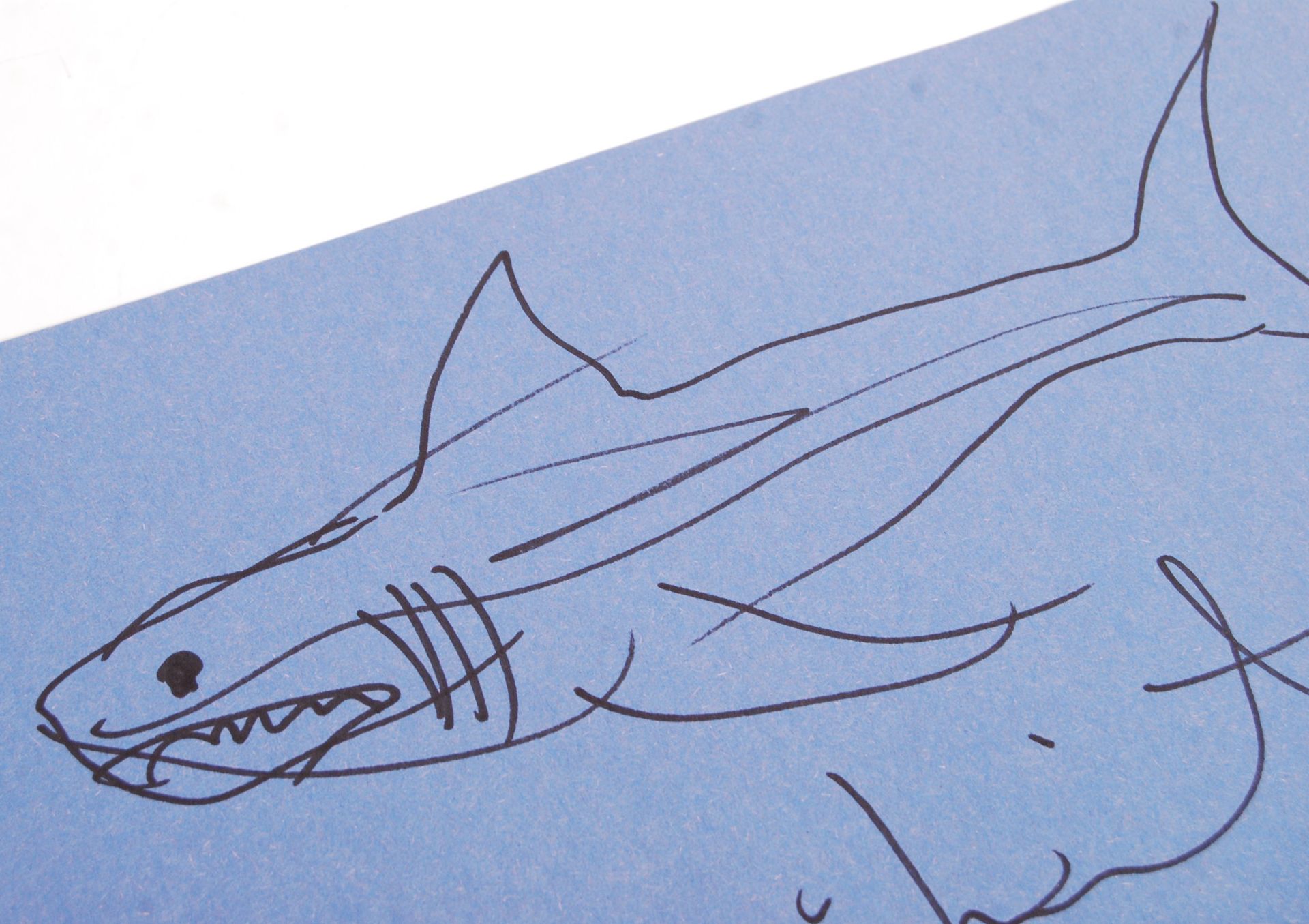 RARE DAMIEN HURST SIGNED ' SHARK ' SKETCH ON PAPER - Image 3 of 3