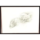 A framed and glazed pencil sketch of a Kestrel swo