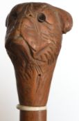 An early 20th Century children's / childs walking cane, the cane knopp carved in the form of a Boxer