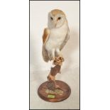 An early 20th Century taxidermy barn owl being raised on a turned wooden base, the owl perched on