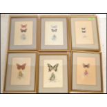 A collection of 6 detailed gouache painting /  studies of butterflies signed to the bottom right ADA