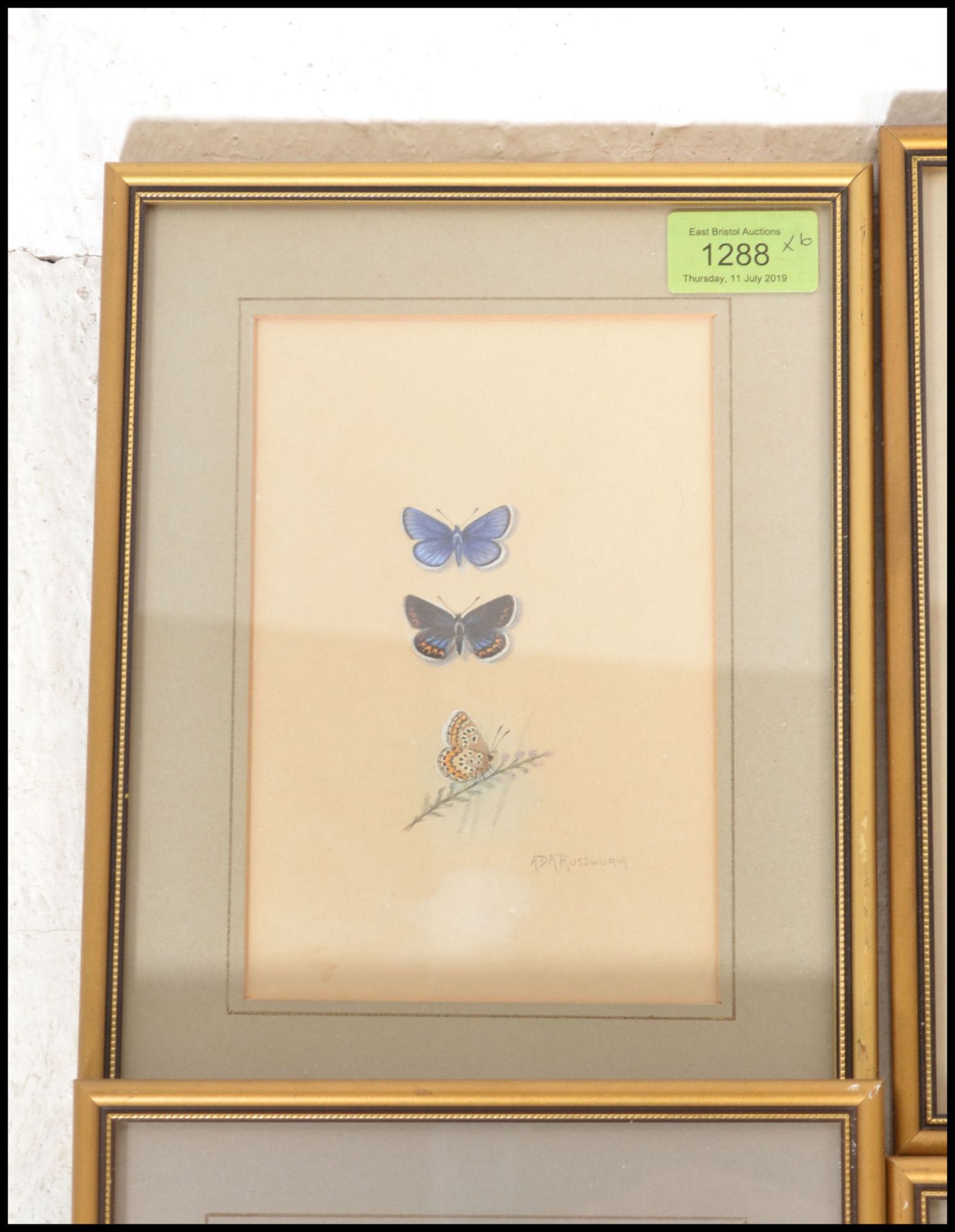 A collection of 6 detailed gouache painting /  studies of butterflies signed to the bottom right ADA - Image 2 of 7