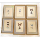 A collection of 6 detailed gouache painting /  studies of butterflies signed to the bottom right ADA