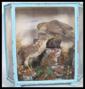 A 19th century Victorian cased Taxidermy example o