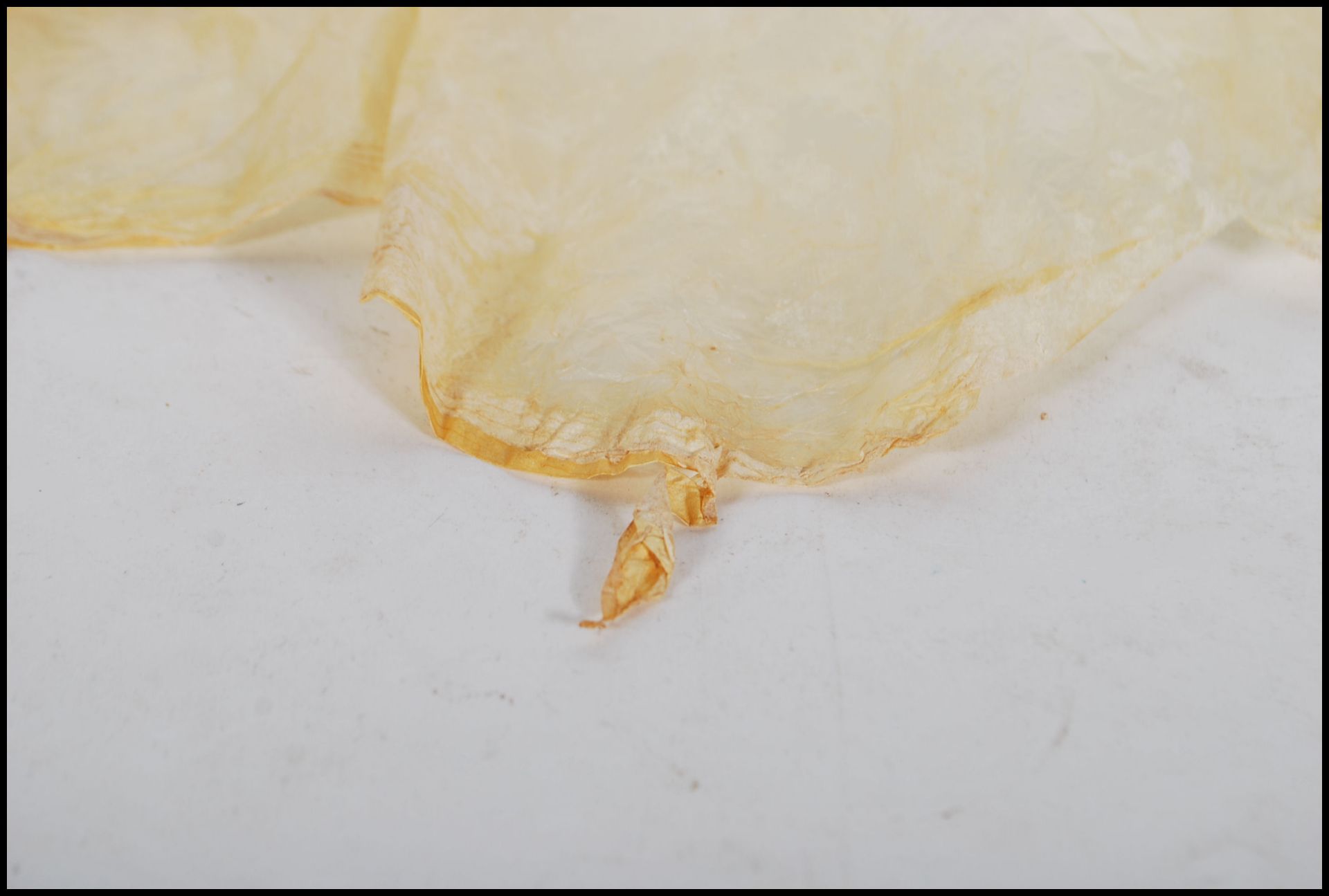 An infant's caul / amniotic sack wrapped in paper, labelled ' Caul of Dorothy Gee'. - Bild 3 aus 6