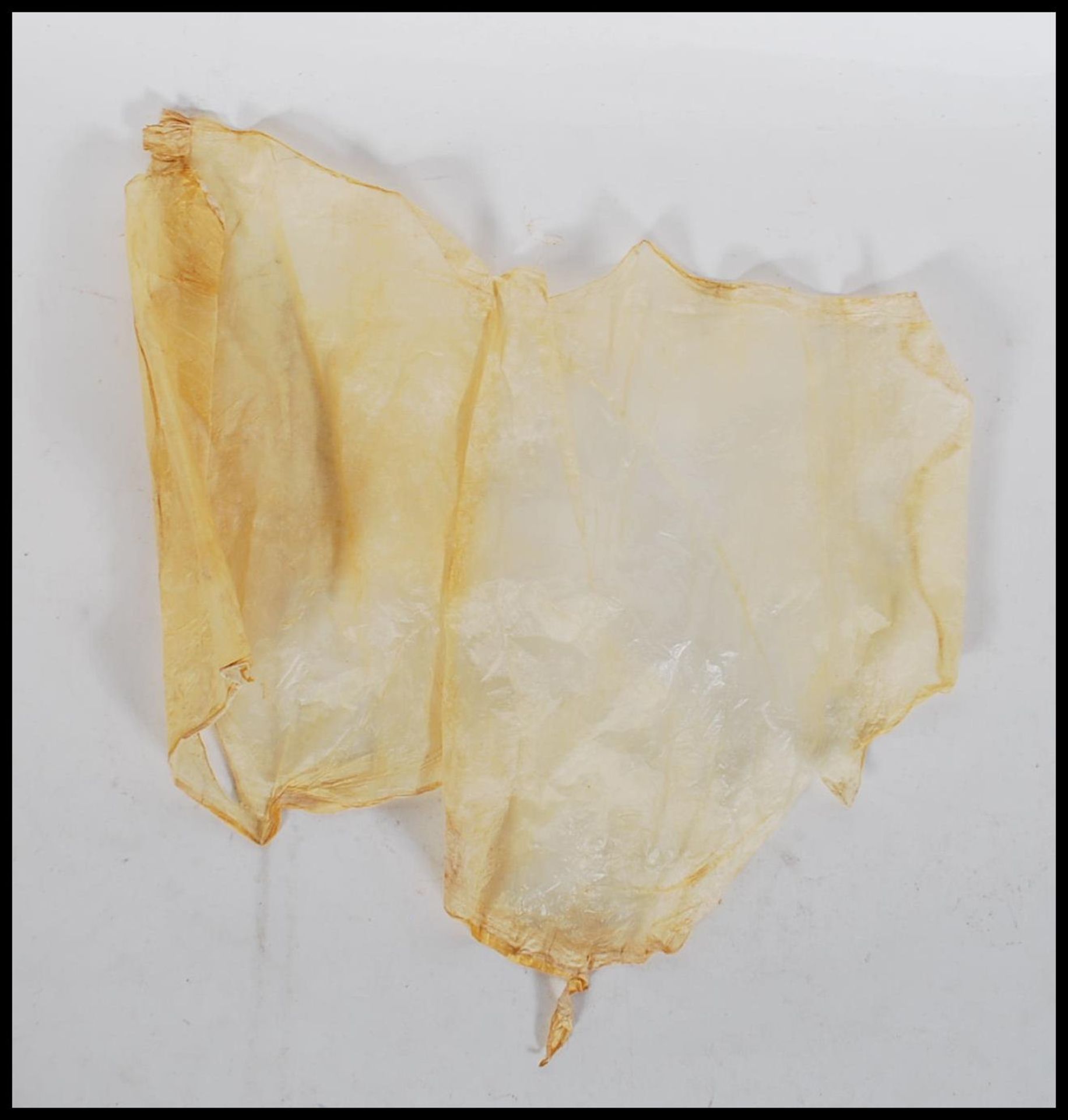 An infant's caul / amniotic sack wrapped in paper, labelled ' Caul of Dorothy Gee'. - Bild 2 aus 6