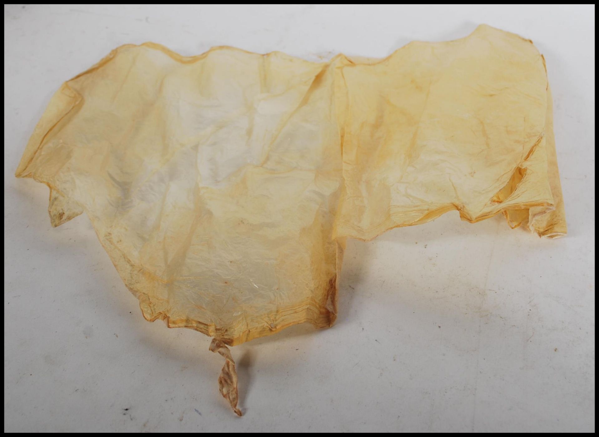 An infant's caul / amniotic sack wrapped in paper, labelled ' Caul of Dorothy Gee'. - Bild 5 aus 6