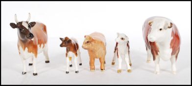 A collection of Beswick ceramic figurines modelled as cows and calves to include CH Ickham, Highland