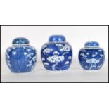 A 19th Century Chinese blue and white porcelain prunus ginger jar and cover having double blue rings