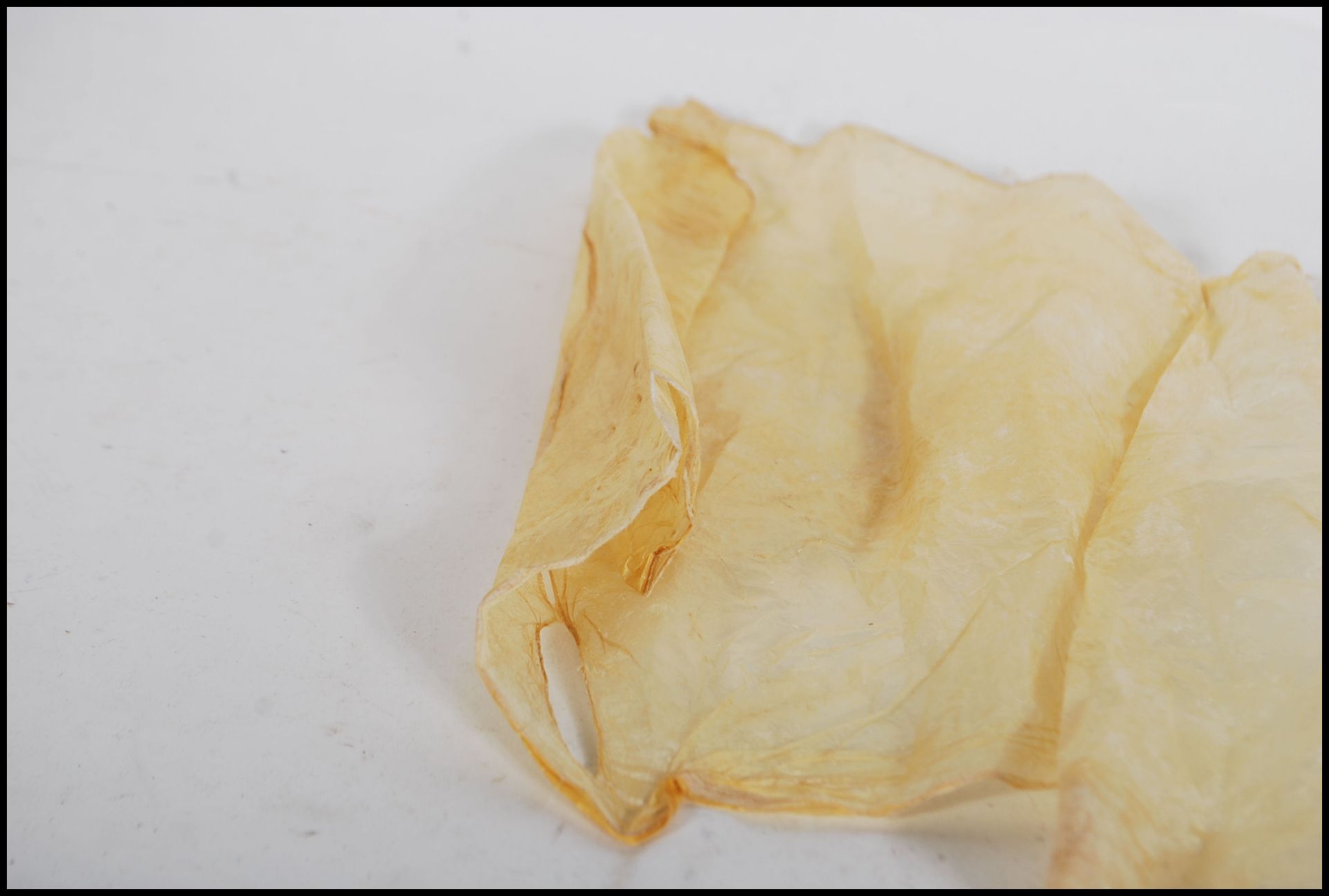 An infant's caul / amniotic sack wrapped in paper, labelled ' Caul of Dorothy Gee'. - Bild 4 aus 6