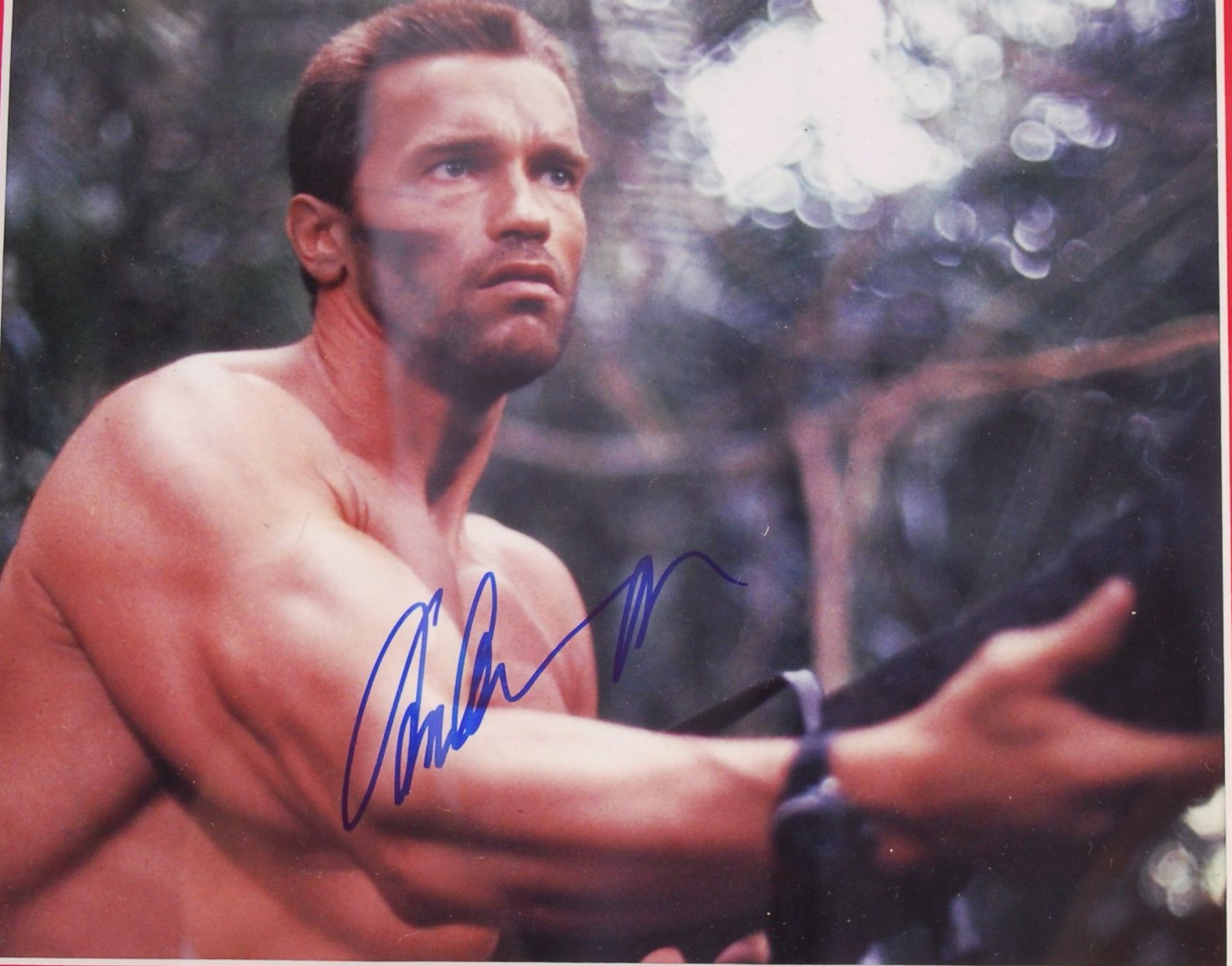 PREDATOR - ARNOLD SCHWARZENEGGER - AUTOGRAPHED 8X10" PHOTO - Bild 2 aus 3