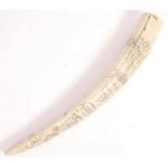 CONTEMPORARY FAUX SCRIMSHAW WALRUS TUSK LIBERTY REPLICA