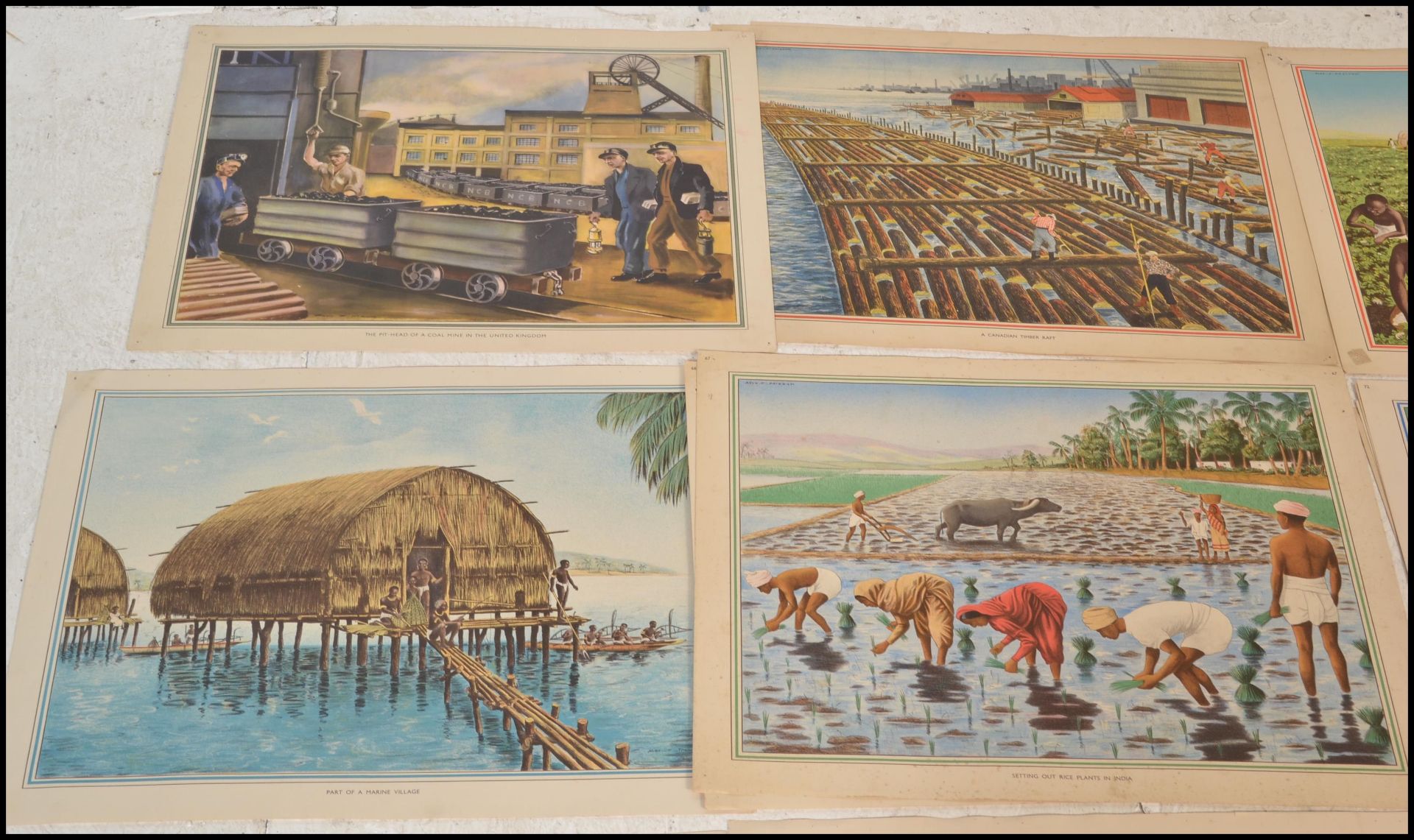 A collection of vintage mid 20th Century educational school posters featuring coloured prints most - Bild 2 aus 4