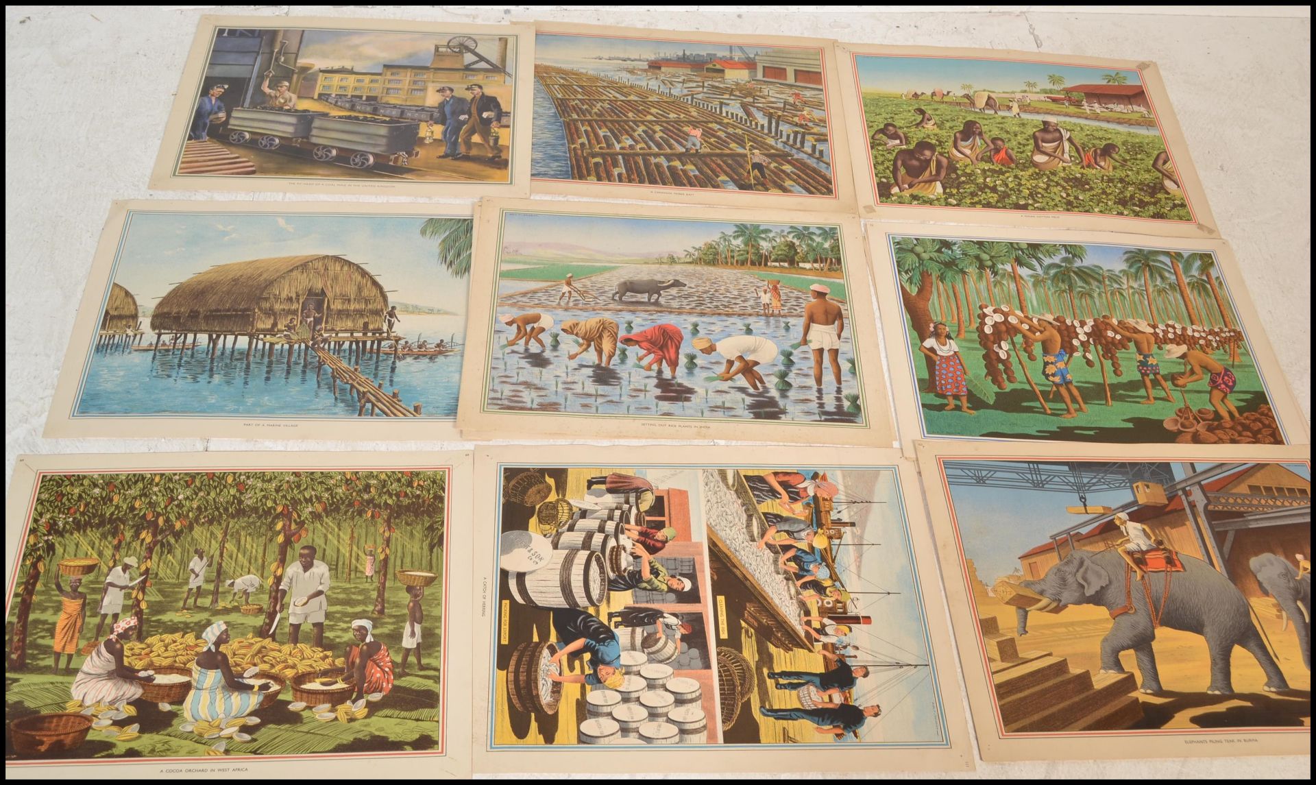 A collection of vintage mid 20th Century educational school posters featuring coloured prints most