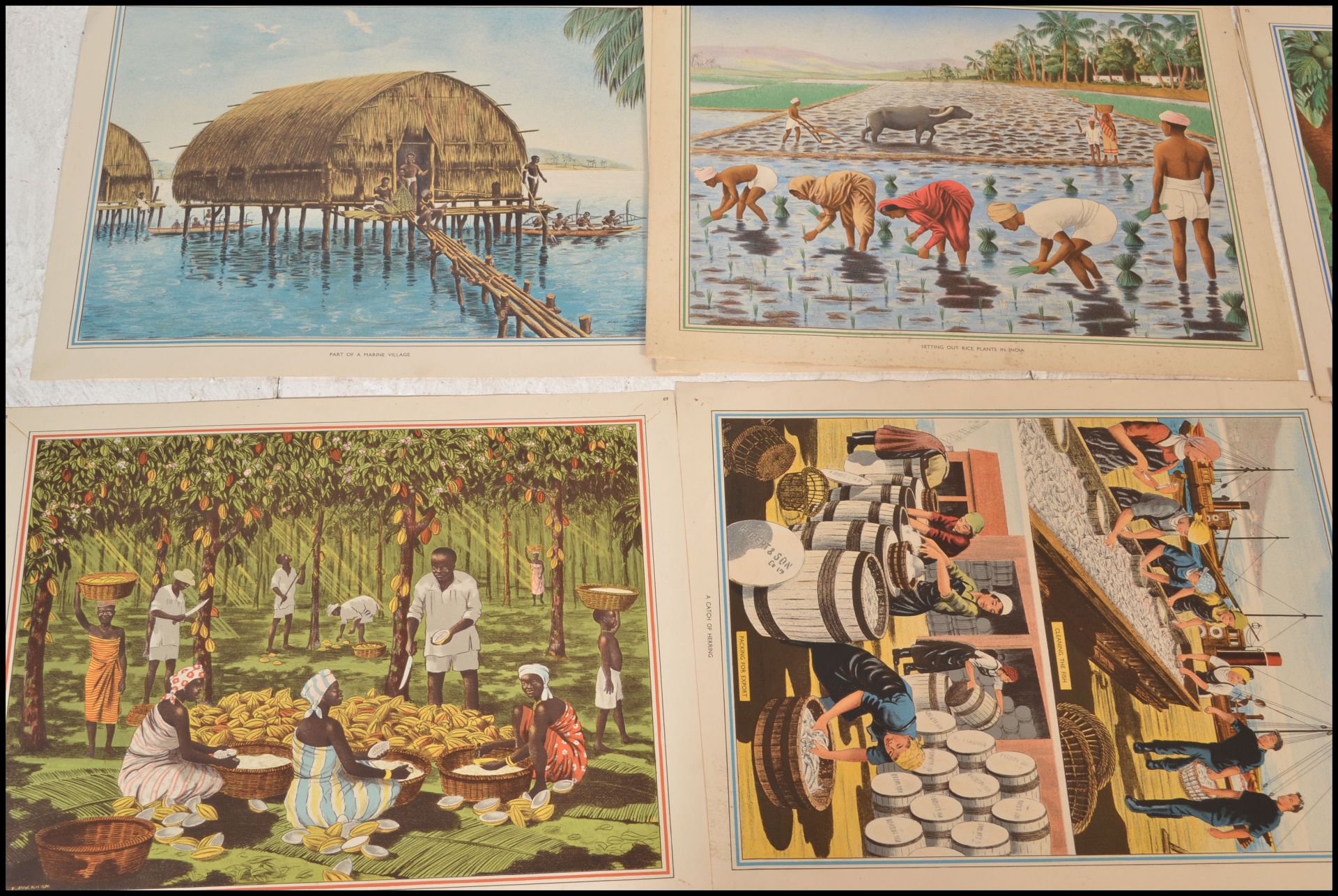 A collection of vintage mid 20th Century educational school posters featuring coloured prints most - Bild 3 aus 4