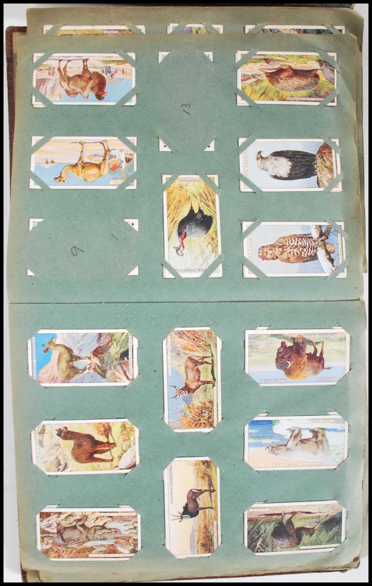 A collection of cigarette tea cards dating from the 20th Century  to include cards in albums, full - Bild 13 aus 18