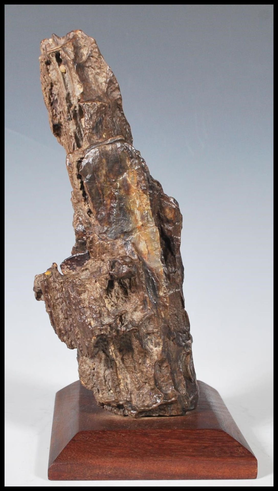 A Chinese fossilised tree fragment mounted on a hardwood base. Measures 23 cm high x 14 cm wide. - Bild 2 aus 5