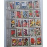 A collection of vintage Wills's cigarette cards to include full sets ; Garden Flowers, Wildflowers