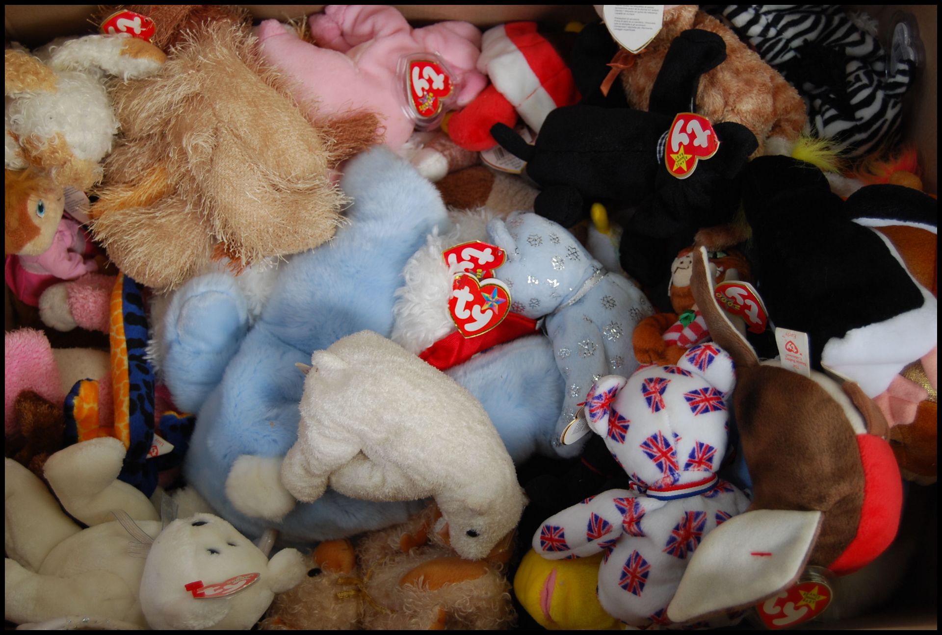 A LARGE private collection of approx x500 TY Beanie Babies / Beanie teddy bears. Includes animals - Bild 3 aus 8