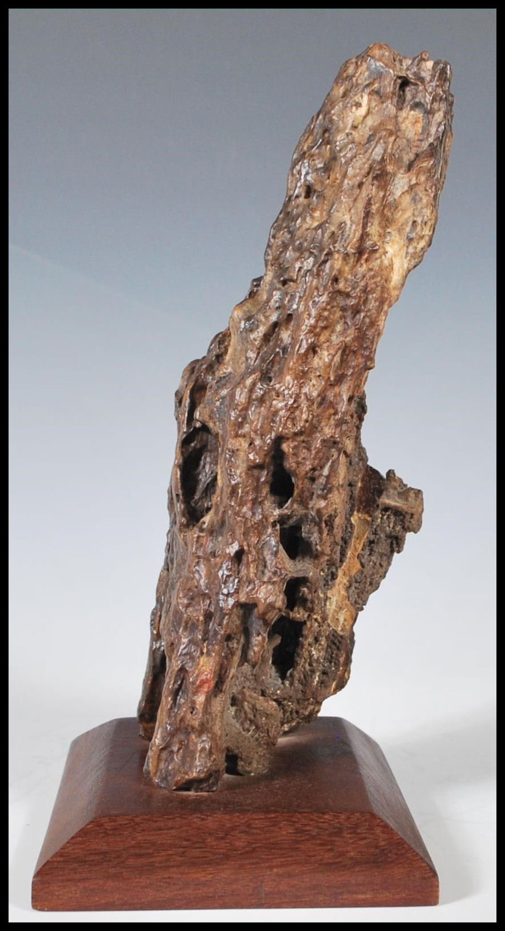 A Chinese fossilised tree fragment mounted on a hardwood base. Measures 23 cm high x 14 cm wide. - Bild 4 aus 5