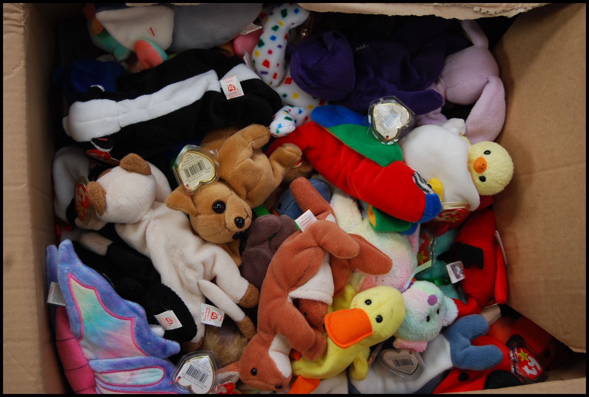 A LARGE private collection of approx x500 TY Beanie Babies / Beanie teddy bears. Includes animals - Bild 6 aus 8