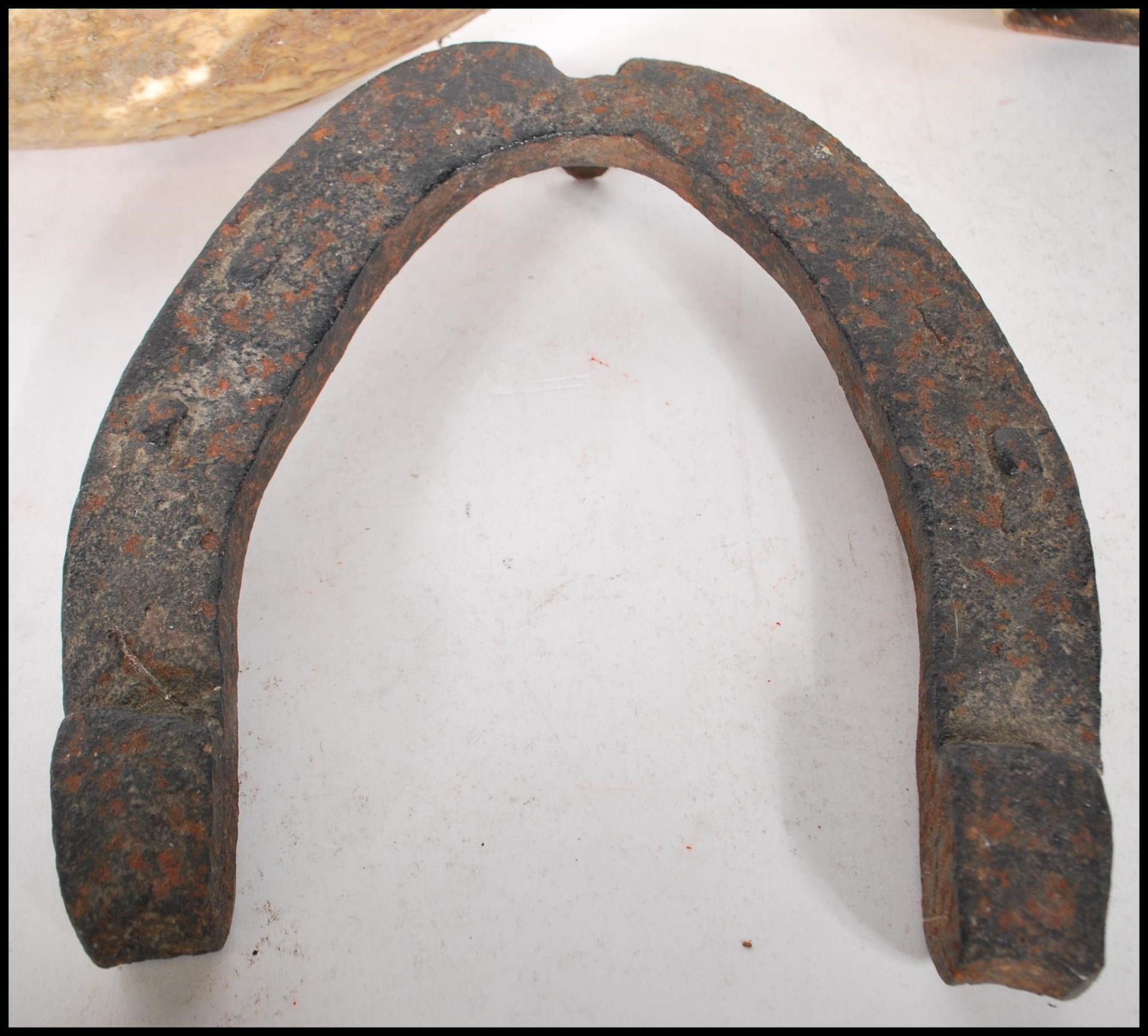 ANIMAL related antique collectables. Pair of large cow horns (possibly used as farm scoops for - Bild 2 aus 7