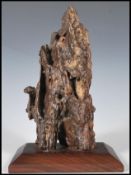 A Chinese fossilised tree fragment mounted on a hardwood base. Measures 23 cm high x 14 cm wide.