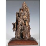 A Chinese fossilised tree fragment mounted on a hardwood base. Measures 23 cm high x 14 cm wide.