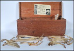 An early 20th Century partial human skeleton set within a wooden pine box with a hinged lid with