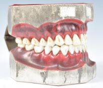 20TH CENTURY VINTAGE EDUCATIONAL ORTHODONTIC MODEL TEETH