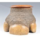 19TH CENTURY TAXIDERMY RHINO FOOT TOBACCO JAR