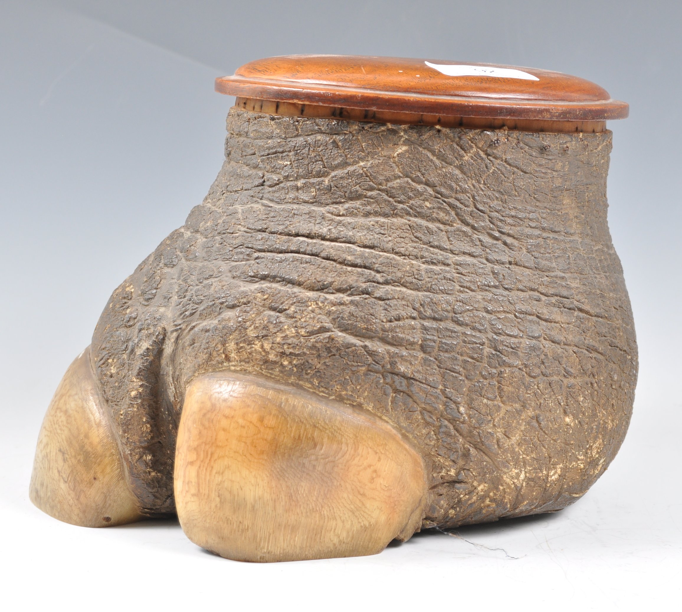 19TH CENTURY TAXIDERMY RHINO FOOT TOBACCO JAR - Image 2 of 7