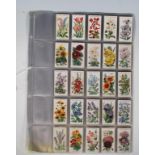 A selection of vintage Wills cigarette cards to include two full sets of fifty 'Old English Garden