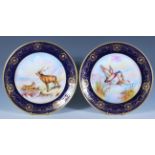 A pair of 20th Century Aynsley cabinet plates from the Fine Art Collection being hand painted by