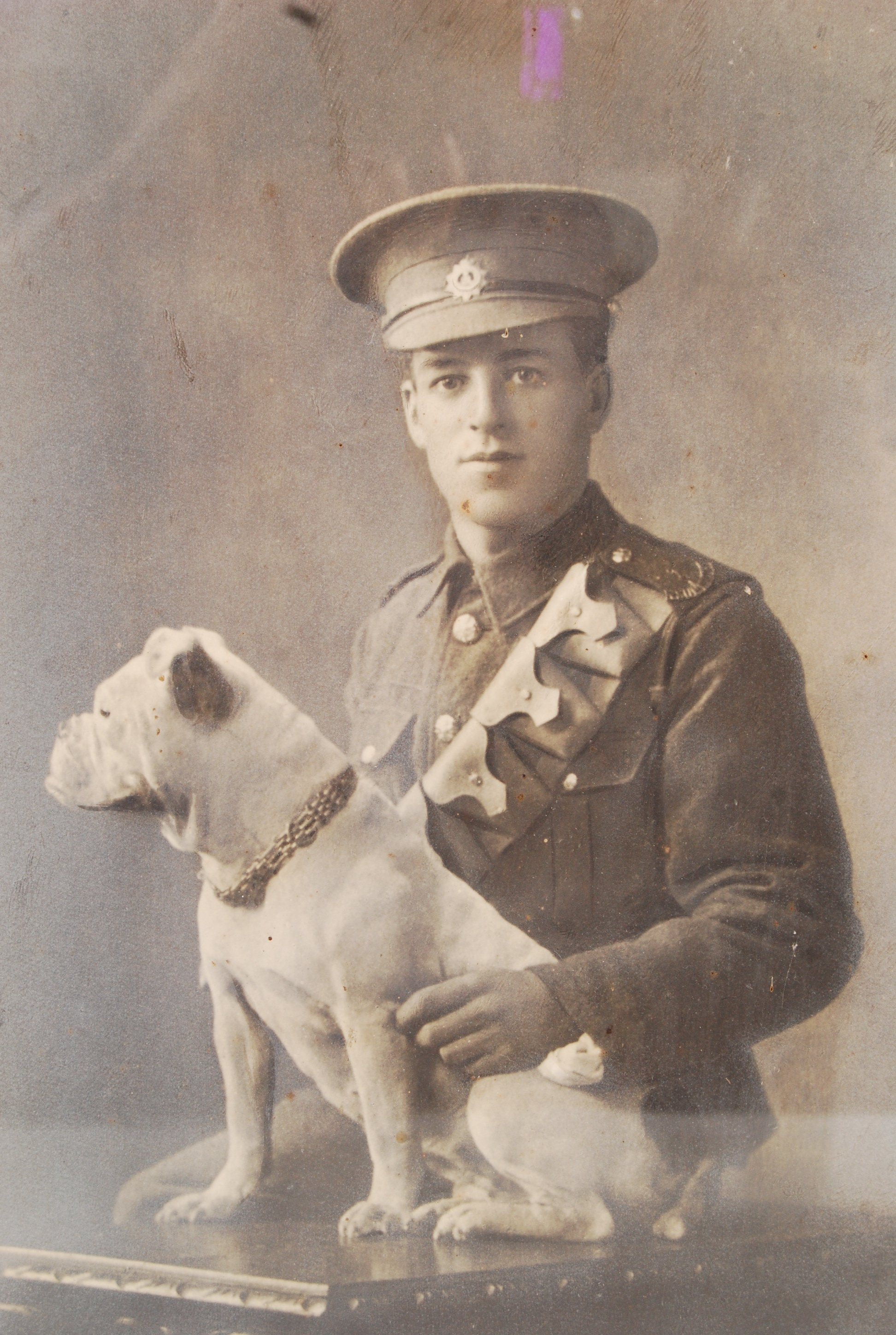 WWI FIRST WORLD WAR INTEREST SOLDIER PHOTOGRAPH & BULLDOG - Image 2 of 3