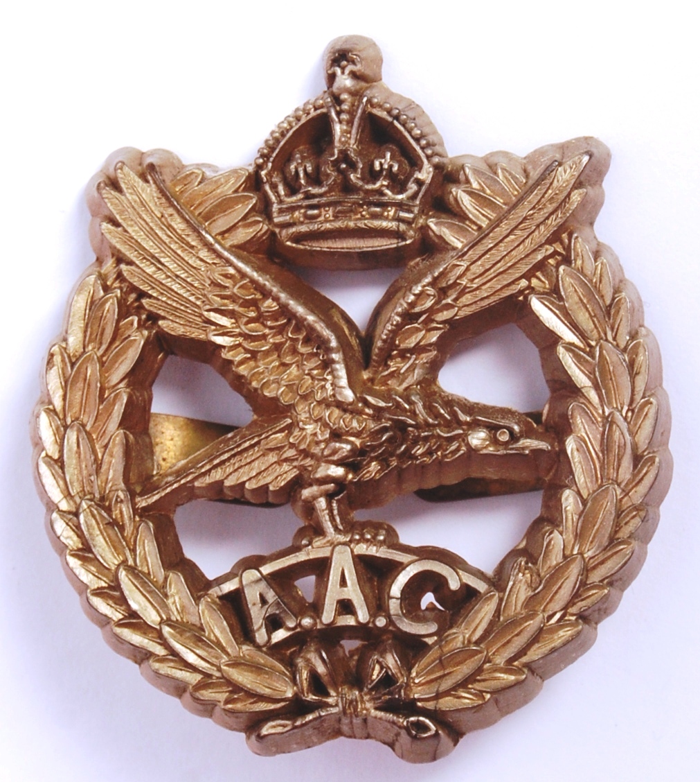 RARE WWII ARMY AIR CORPS ECONOMY PLASTIC CAP BADGE