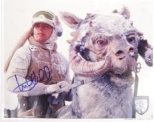 MARK HAMILL - STAR WARS - AUTOGRAPHED 8X10" PHOTOGRAPH