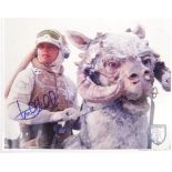 MARK HAMILL - STAR WARS - AUTOGRAPHED 8X10" PHOTOGRAPH