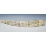 A large contemporary faux scrimshaw replica walrus tusk having carved floral and ship decoration