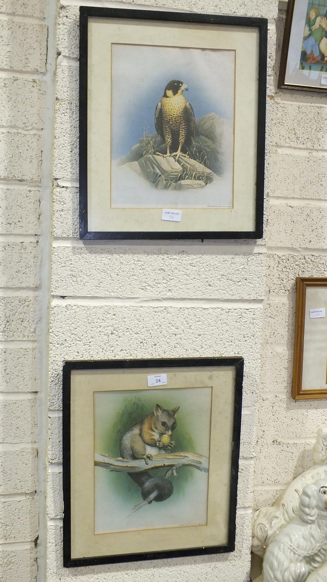 A collection of framed Beryl Cook plates and other prints. - Image 4 of 4