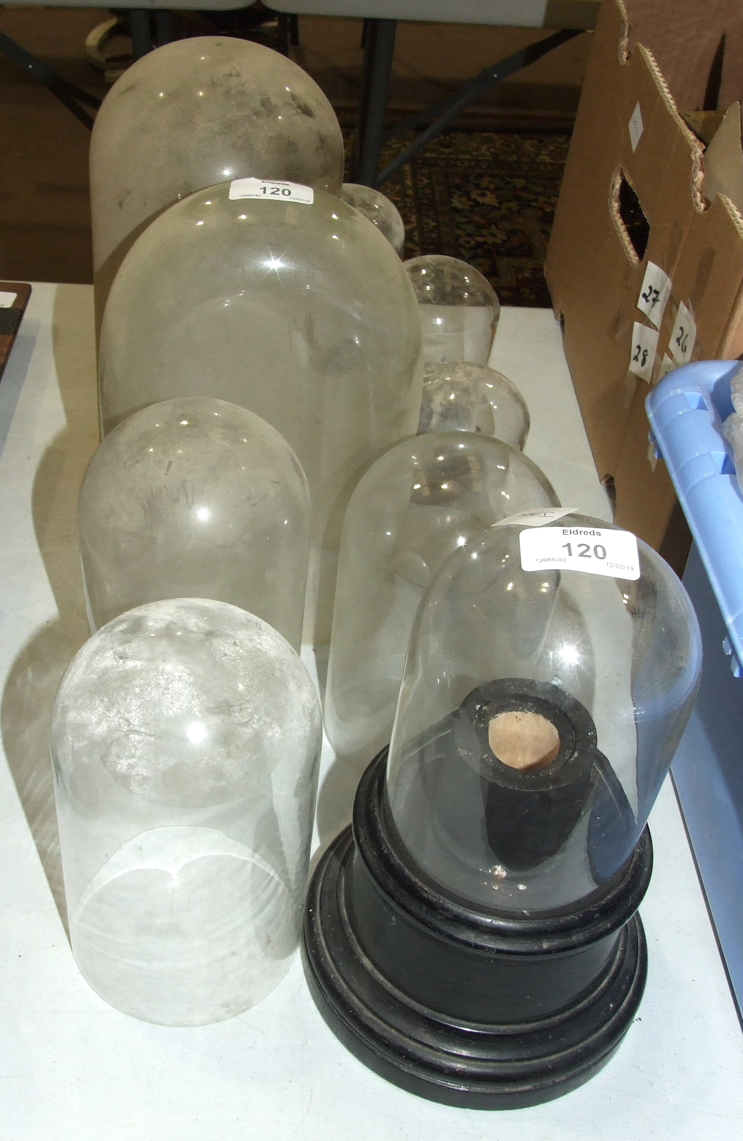 A collection of ten various glass domes, tallest 28cm high, base 14cm diameter, (10).