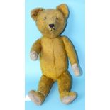 A vintage teddy bear with golden mohair plush, horizontally-stitched nose, glass eyes, straight