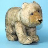 A golden mohair plush teddy bear standing on all fours, possibly Steiff, with shaved mohair plush