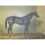 19th Century Naïve School After J F Herring "UMPIRE", STUDY OF A BAY HORSE WITHIN A STABLE Oil on