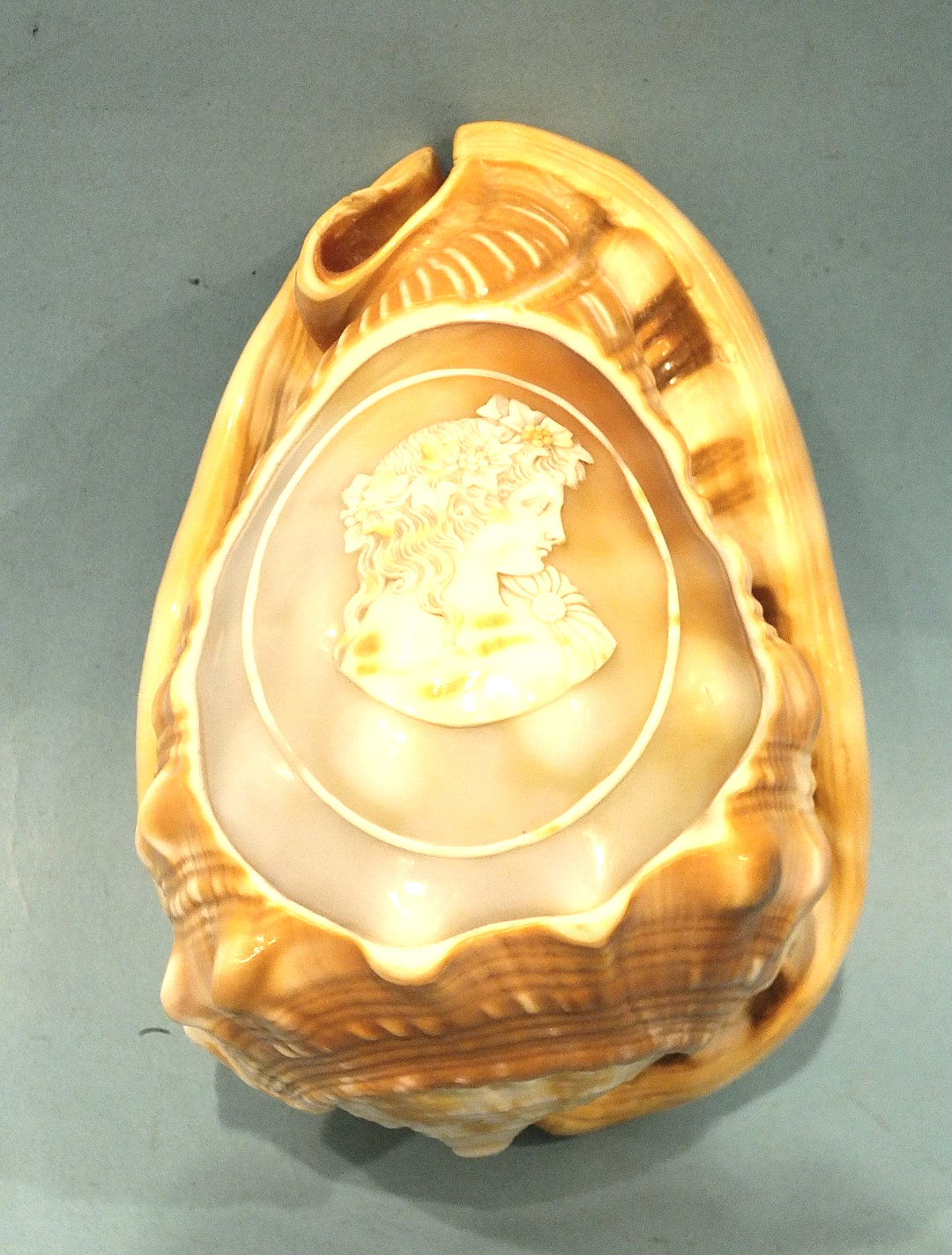 A carved cameo conch shell decorated with a female figure, 13cm, (af). - Image 2 of 2