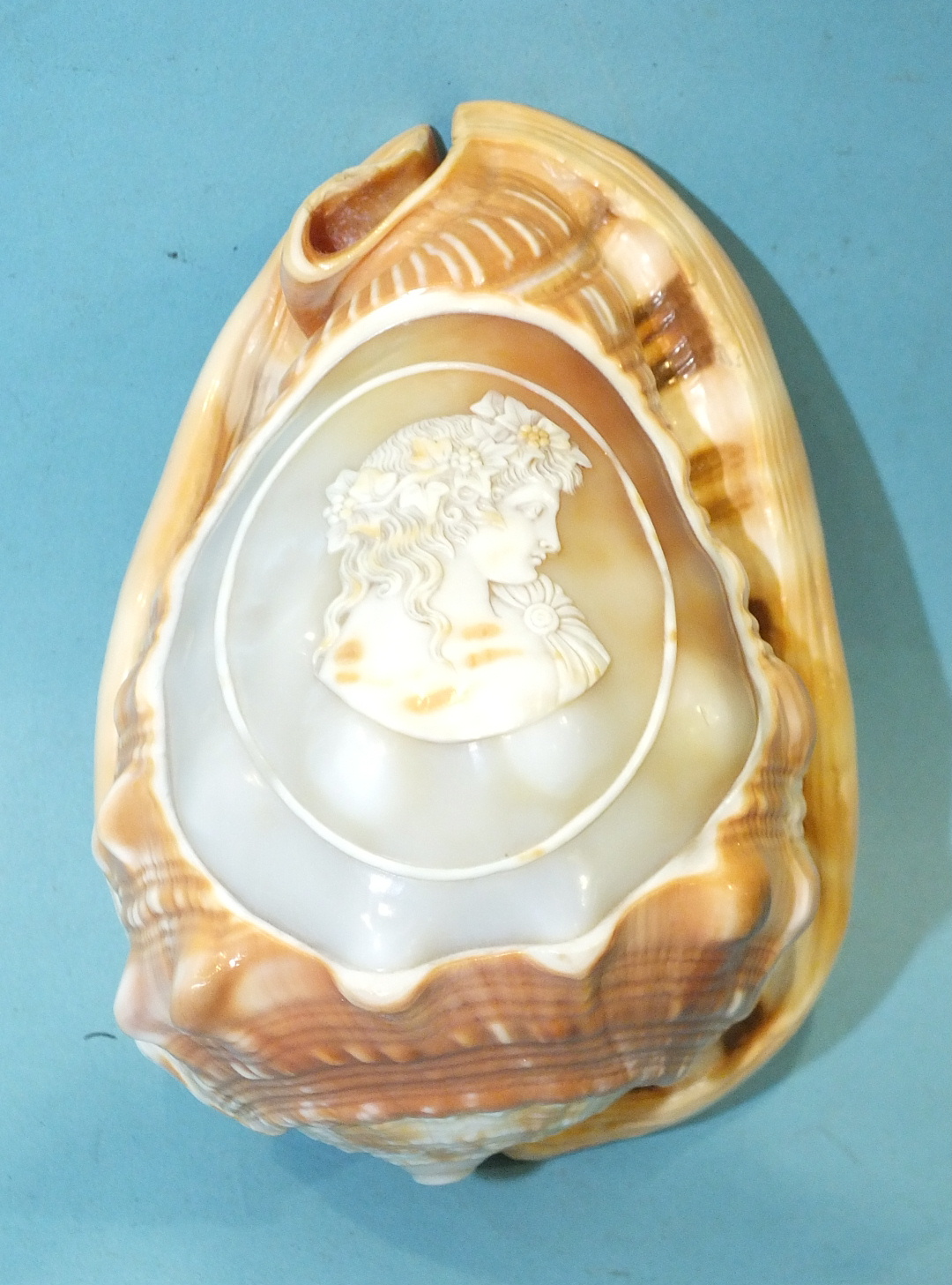 A carved cameo conch shell decorated with a female figure, 13cm, (af).