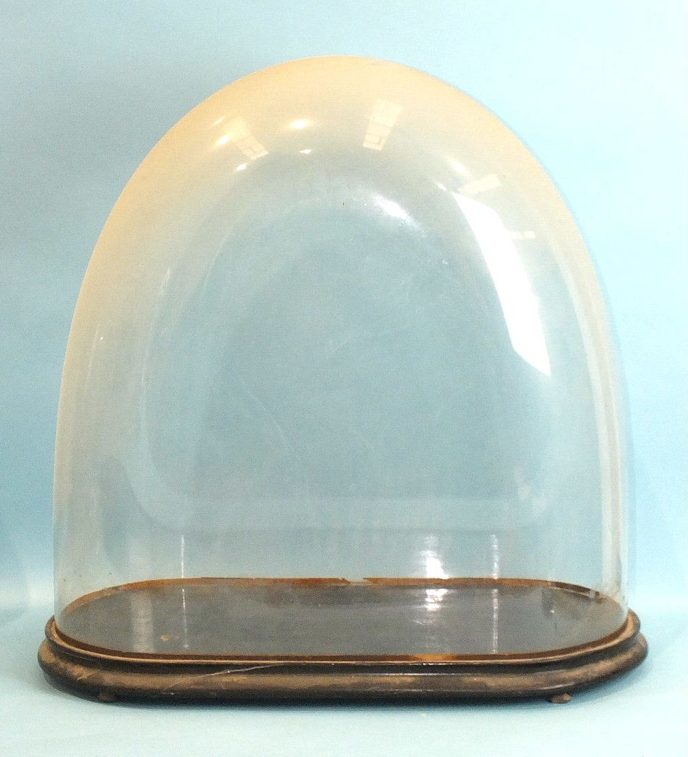 A large clock glass dome of oblong form with rounded ends on turned wood base, 61cm high.